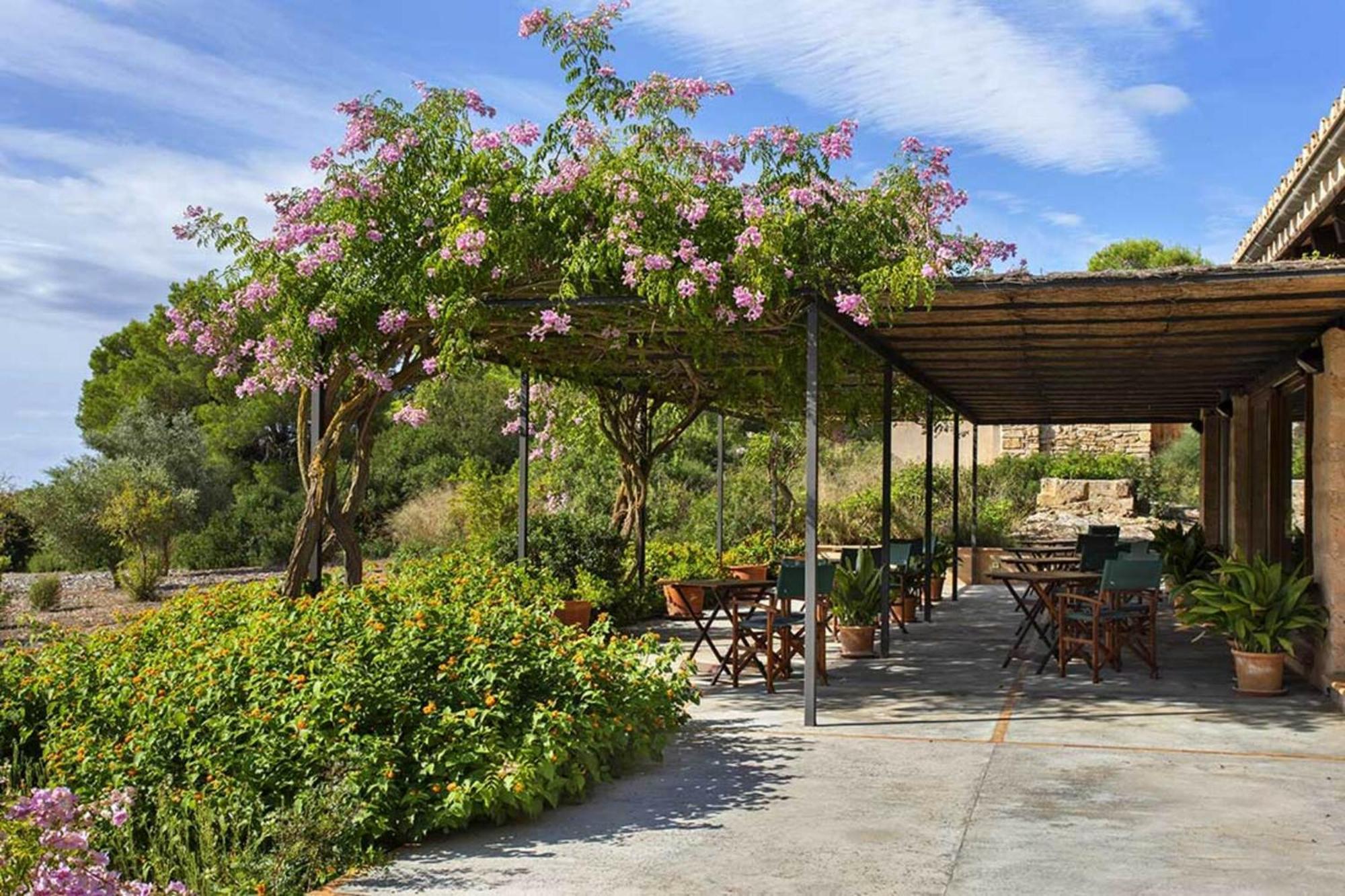 Finca Ses Arenes Apartman Colonia de Sant Jordi Kültér fotó